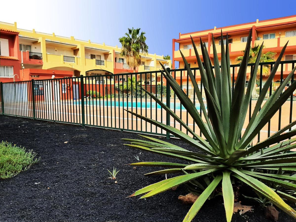 Rosie House 2 Apartment Parque Holandes Bagian luar foto